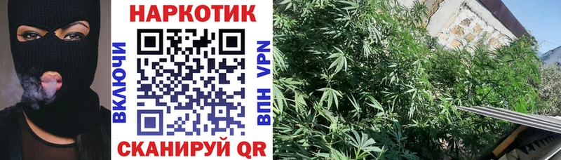 Купить Бошки Шишки СОЛЬ Гашиш Псилоцибиновые грибы Меф мяу мяу Ленск