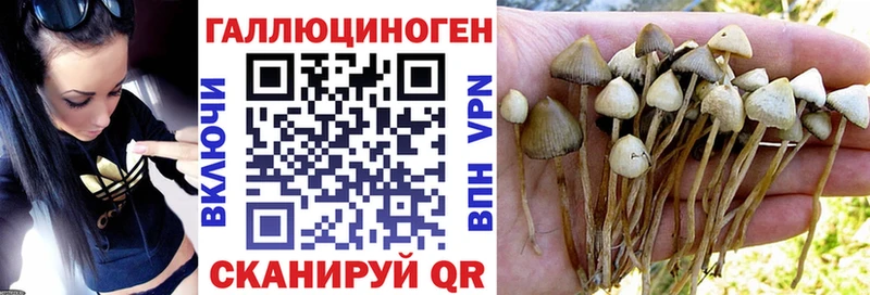 Купить где  Ленск  Галлюциногенные грибы мухоморы 